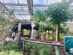 -南宫五洲植物乐园