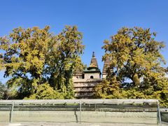 -北京石刻艺术博物馆(五塔寺)