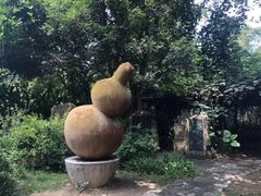 -广西壮族自治区药用植物园