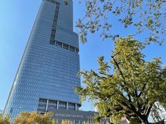 -紫峰大厦