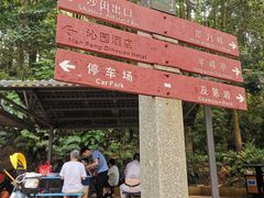 -广州市帽峰山景区