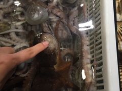 -马路边上·小海鲜烧烤(八一路店)