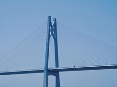 -招商蛇口邮轮母港(观光客运)