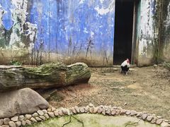 -杭州野生动物世界