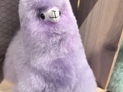 -番茄口袋(上海普陀区环球港店)