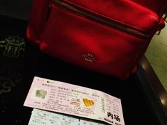 -南京奥林匹克体育中心-体育馆