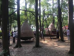 -东湖落雁景区