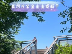 -紫金山山顶公园