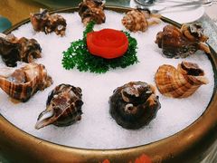 -寻味顺德·南记酒家·传统顺德菜·鱼生(广源路店)