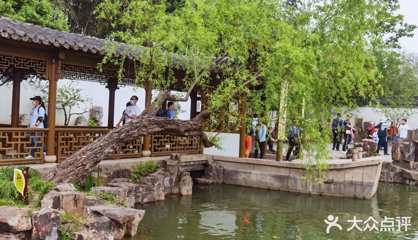 扬州这副画好美，自然之美展现华夏民族魅力！🌿🍀