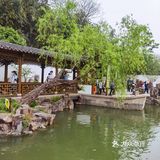 扬州这副画好美，自然之美展现华夏民族魅力！🌿🍀