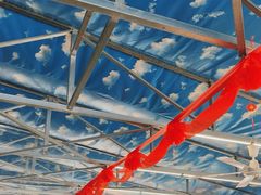 -后湖小院·乡野田园菜