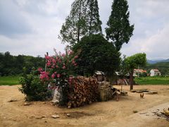 -素山寺森林公园