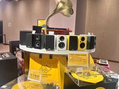 -浣熊唱片店(上海影城店)