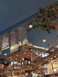 -卡通尼·Safari非洲探索乐园·生日会(金桥国际商业广场店)