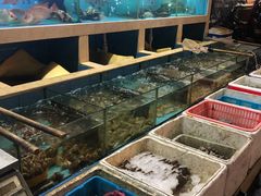 水产区-蛇口康乐快餐鱼仔档(翠苑小区店)