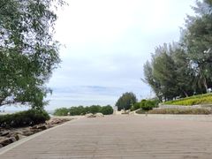 -宝安西湾红树林湿地公园