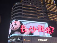 -长沙富力万达文华酒店