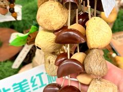 -中国湿地博物馆