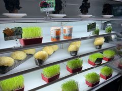 -番食园鲜食火锅(高新店)
