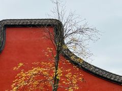 -陈文龙尚书庙