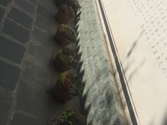 -寂照庵
