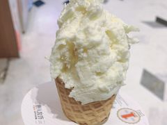 -野人先生现做冰淇淋(北京顺义祥云小镇店)