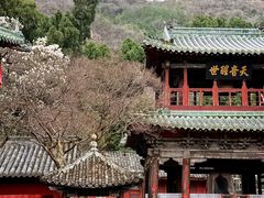 -报恩寺(平武县)