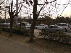 -白鹭湾湿地公园