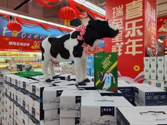 -世纪联华(外高桥店)
