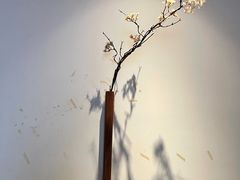 -山杏yama-katsu·吉列炸物