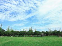 -洪湖家庭农场·团建·露营·会议
