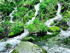 -奇迹健身(SM广场店)