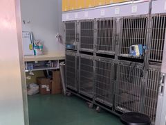 -东方动物医院·宠保定点·骨科·转诊中心(春城路·昆明站分院)