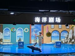 -重庆欢乐海底世界
