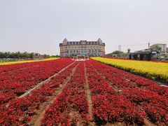 -百万葵园