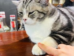 -咖法森林·咖啡  酒吧(天河店)