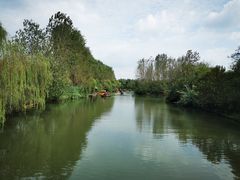 -溱湖国家湿地公园