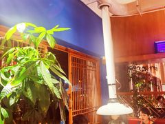 大堂-木王宴语·野生鲜菌火锅(玉河店)