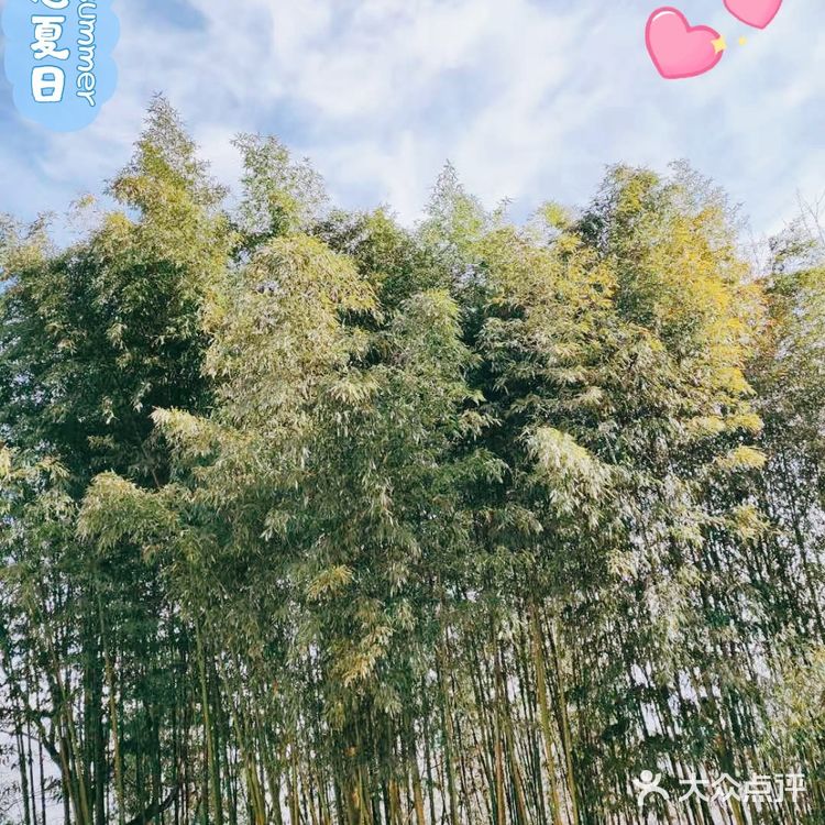 [糖果]大山里的人家[亲亲]