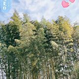 [糖果]大山里的人家[亲亲]
