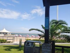 -碧海金沙