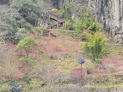 -刘伯温故里景区百丈漈
