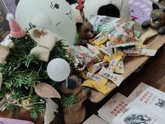 -宠爱国际动物医院·消化内科·心肾内科·ISFM猫友好(望京店)