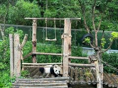 -黔灵山公园