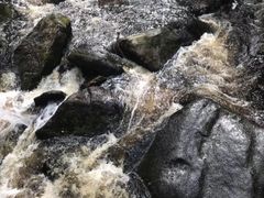 -汤旺河林海奇石景区