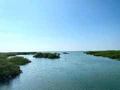 -北海金海湾红树林生态旅游区