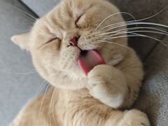 -兰熊鲜奶(颐堤港店)