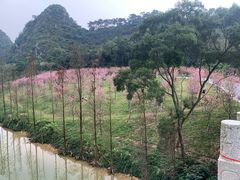 -星湖旅游景区七星岩