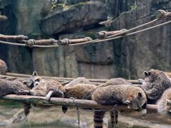 -杭州野生动物世界